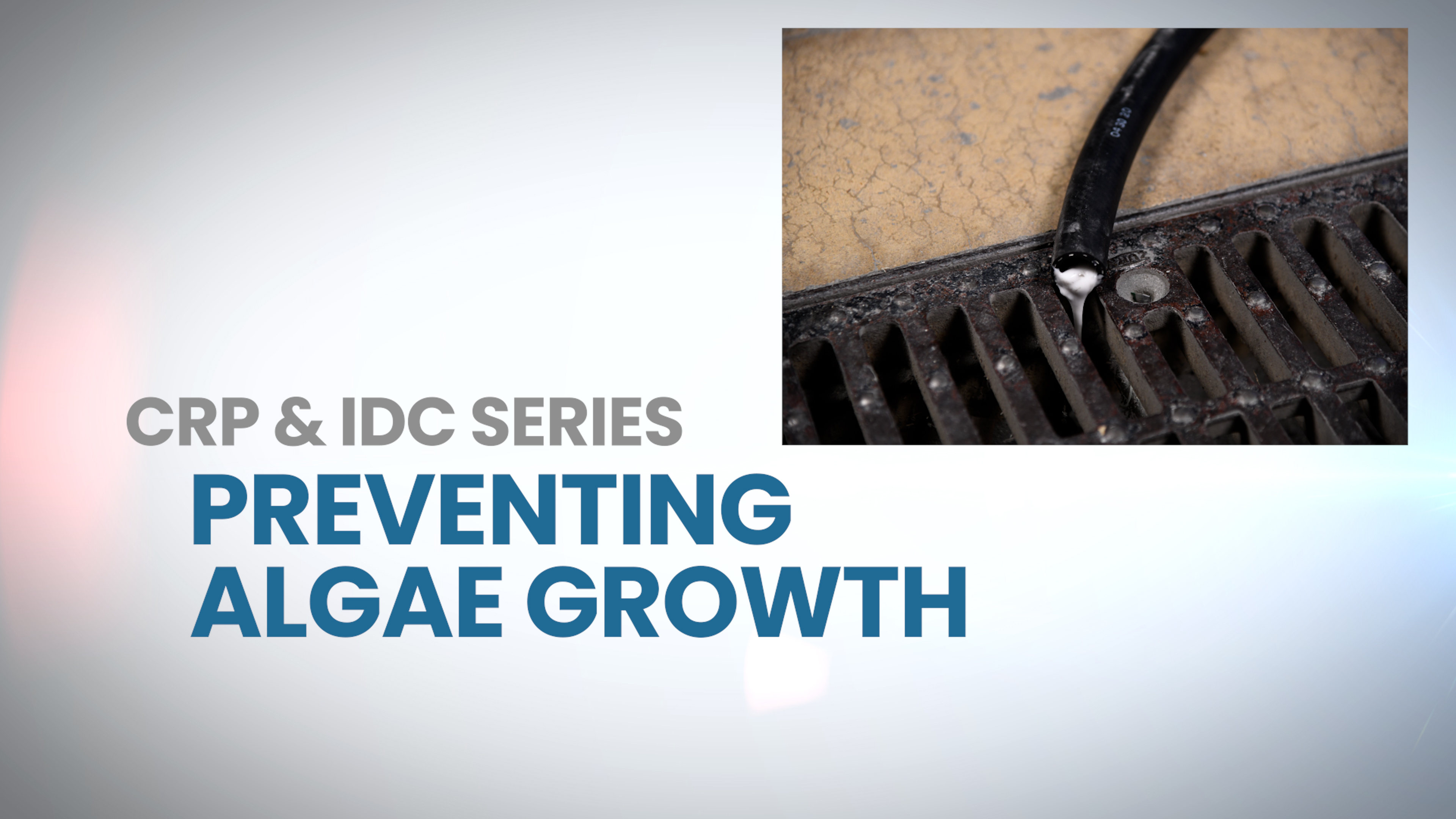Preventing algae growth in your drain hose
