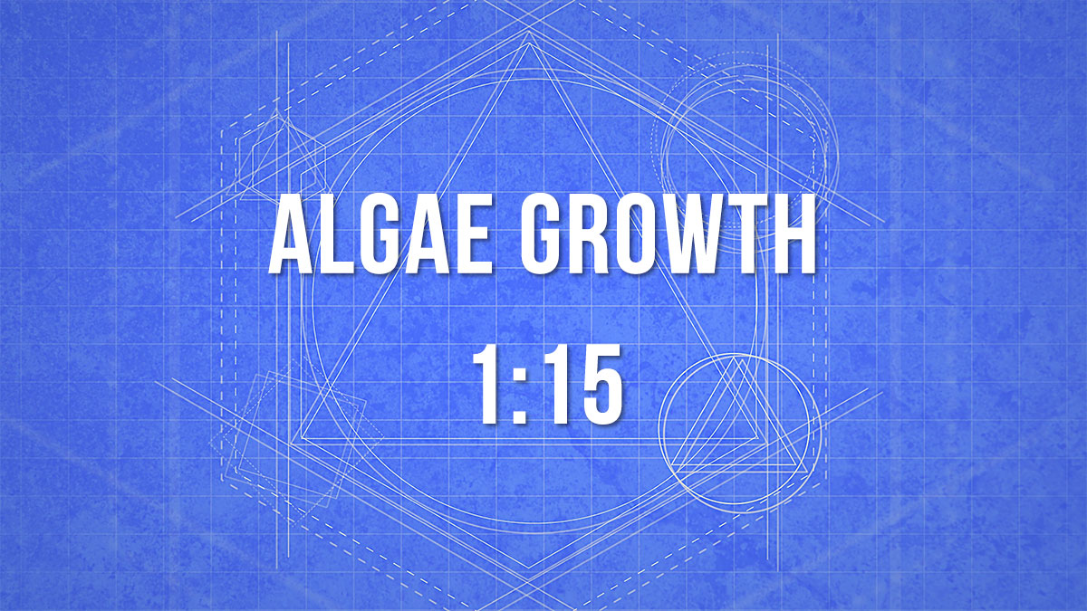 algae growth 1:15